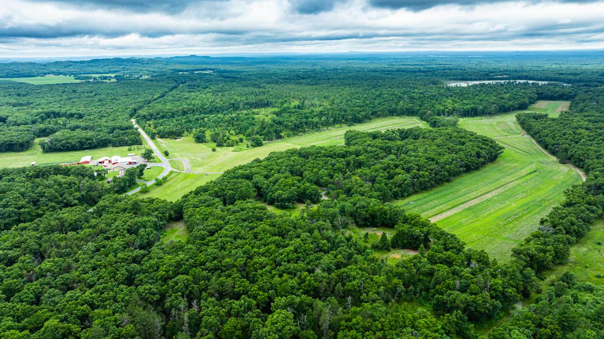 woods-and-meadow-warrens-wi