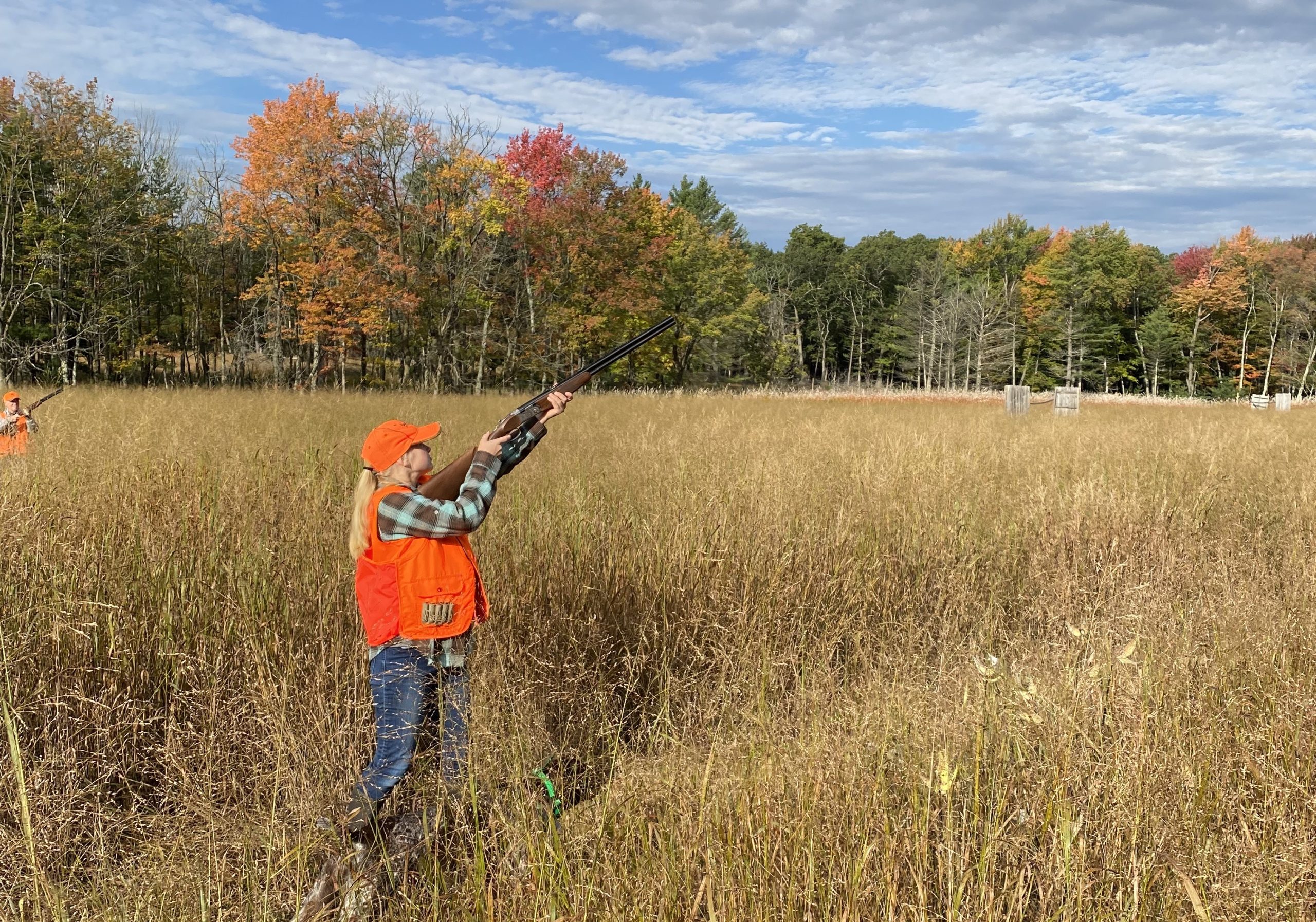 pheasant hunter 1